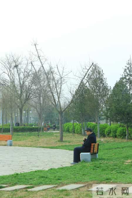 退休两年才明白：那些日子过得舒坦的男人，大多都想通了这四件事