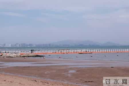 改变孩子最有效的方法，不是追着孩子讲道理、发脾气，而是这2种