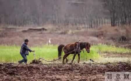 一个不识字，连钱都不认识的农村老太太，却会给人看病