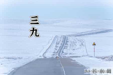 三九进补，开春打虎，明天进三九，多吃这4肉，营养扎实御寒强身