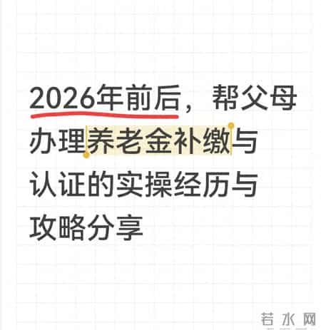 2026年前后，帮父母办理养老金补缴与认证的实操经历与攻略分享