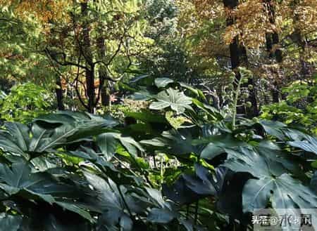 职场真相：主动选择同步，好过被迫服从