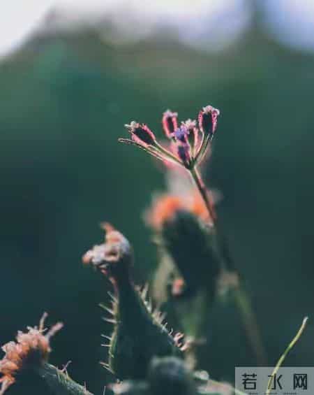 《养娃开运小妙招：明天做对3件小事，孩子悄悄变幸运》