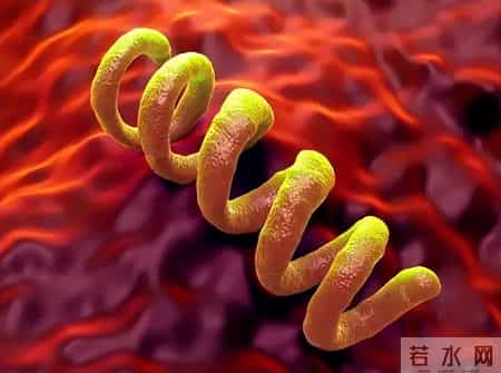 得了性病，身上这5个部位可能会长疹子，建议及时做这5个检查