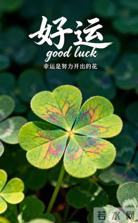 深耕自己的魔力在哪里