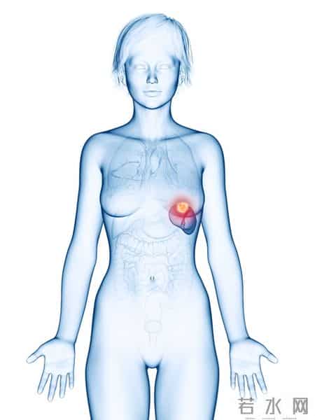 年过50警惕乳腺癌！控制雌激素，内分泌治疗能预防复发