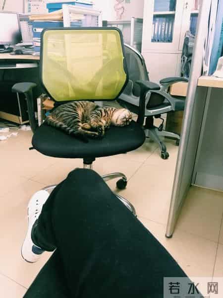 下班先睡为敬！是摆烂还是人间清醒？当代打工人的“充电式下班”