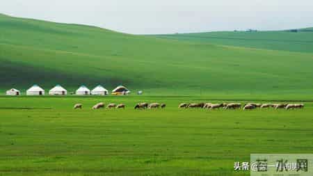 别等老了才明白！孩子有没有孝心，10岁前就能看出来！