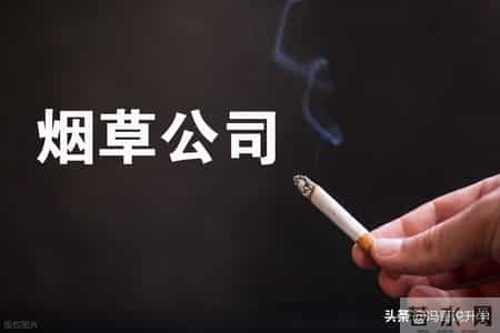 紧急收藏！烟草选岗避坑全攻略 从地区到岗位全拆解 看完直接上岸