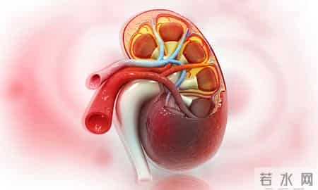 最补肾的一种果子，对眼睛和头发都特别好，建议多吃，安稳过秋冬