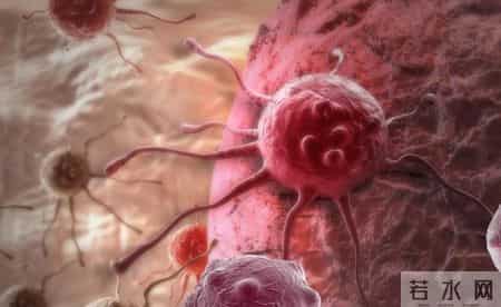 赶快扔掉！这种保温杯热水进毒水出，也许你家娃正在用