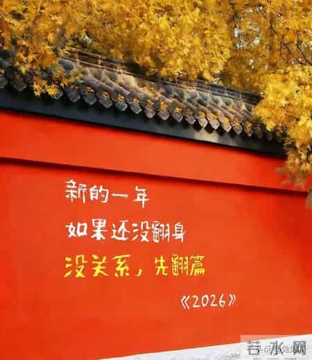 女到中年，失业找不到工作，你还有5条路可以走