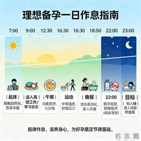 《备孕作息时间表：23点前睡+7点起，3个月养出好体质》
