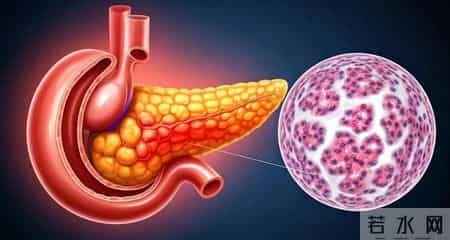 多名医生提醒：只要做过CT检查，中老年人务必重视这4指标！