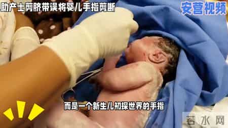 新生儿剪脐带被助产士煎断手指