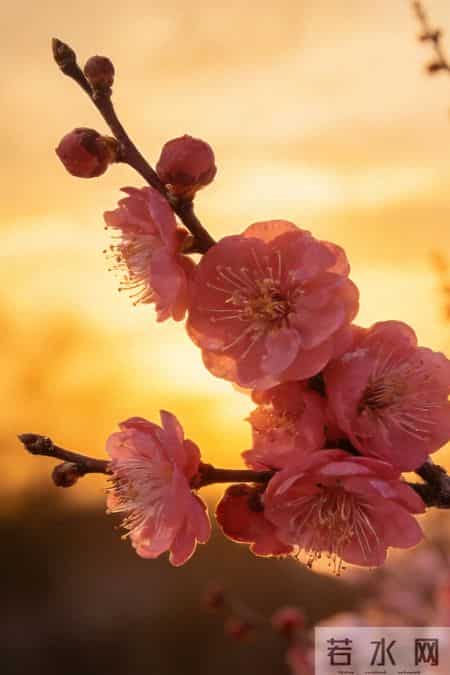 灵活就业者提高公积金贷款额度的核心策略