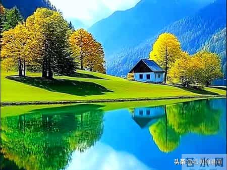 84岁临终前，我想劝大家：宁肯一个人过，也别选这三种养老方式