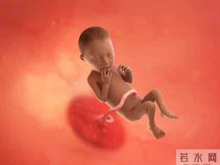 怀孕1-40周，胎儿发育每周变化！孕妈妈的干货科普