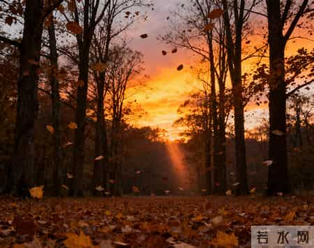 单位里，独来独往，不合群的人，越能守得住自己的节奏