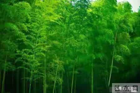 一位76岁老人的忠告：过了75岁，不管多有钱，千万别做这5件蠢事