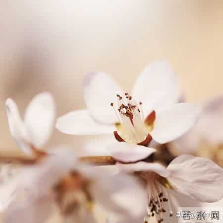 人老了才明白，对待孙辈，爷爷奶奶要记住四不原则，很管用