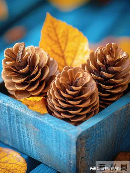 人老了才发现，生儿生女，真的不一样