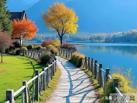 84岁临终前，我想劝大家：宁肯一个人过，也别选这三种养老方式