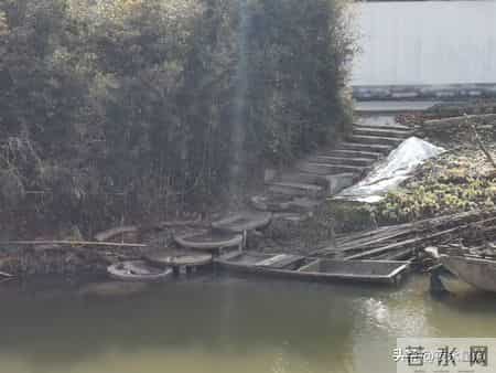 95岁二伯，抽烟喝酒为啥能长寿？