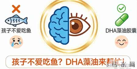 2026儿童DHA综合榜单：儿童安心品牌白皮书，亲和不伤胃