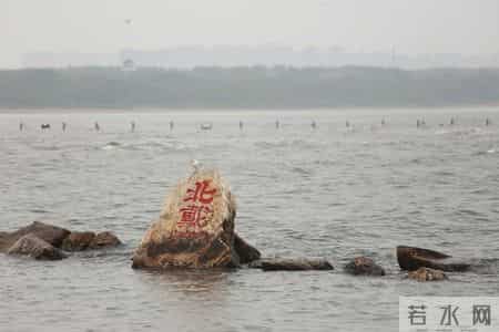 研究生纳入编制体系考核了？以下想考公的同学，必须先考研