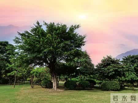 当“佛系打工人”遇上“职场PUA”：这届年轻人正在用脚投票