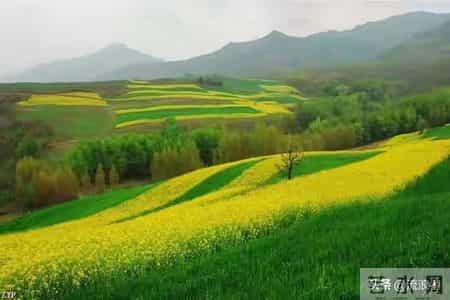 一位76岁老人的忠告：过了75岁，不管多有钱，千万别做这5件蠢事