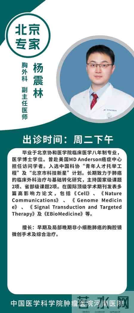 肿瘤诊疗“国家队”齐聚河南，周四义诊看这里