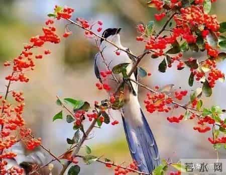 为孩子接马年，养成这些习惯，一生无病无灾，处处遇贵人相助