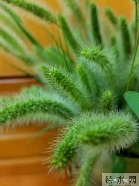 52岁退休阿姨，疯狂找活干的背后，藏着多少心酸