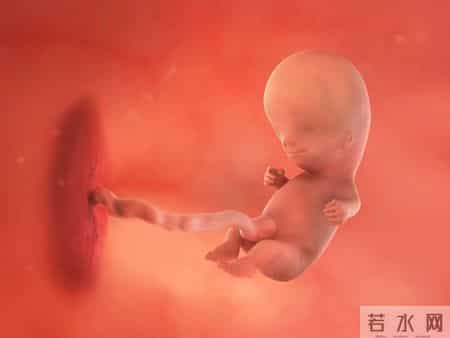 怀孕1-40周，胎儿发育每周变化！孕妈妈的干货科普