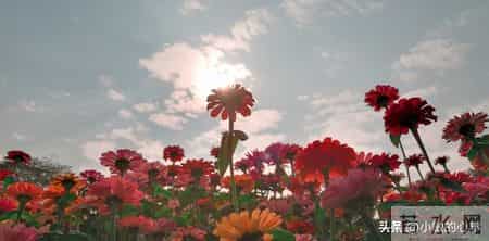 放宽心，你家孩子的命比你想的还要顺