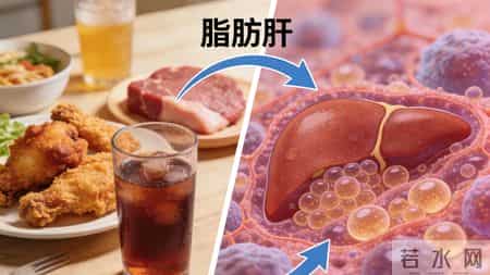 研究发现：60岁后常吃鸡蛋，患肝癌风险是不吃鸡蛋的数倍？真的吗