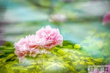 普通人最好的活法是58岁能存下10万存款，58岁后保重身体安度晚年