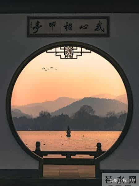 宁愿独居也不跟儿子同住，戳中老人心声：忍气吞声不如独自清净！