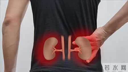 体检发现 3 项指标异常？大概率是慢性肾病早期前兆，别忽视早检查