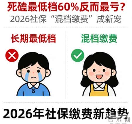 死磕最低档60%反而最亏？2026社保“混档缴费”成新宠