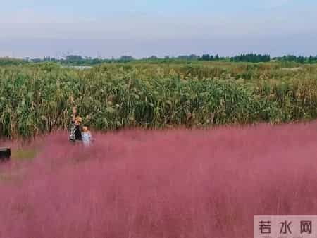 39岁，确诊癌症，人生还是要讲笑话