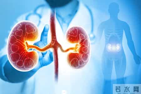 馒头再次被关注！调查发现：糖尿病患者吃馒头，要多注意这5点