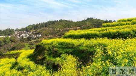 【我的退休故事】：过极简生活不是因为没钱，而是为晚年更有底气