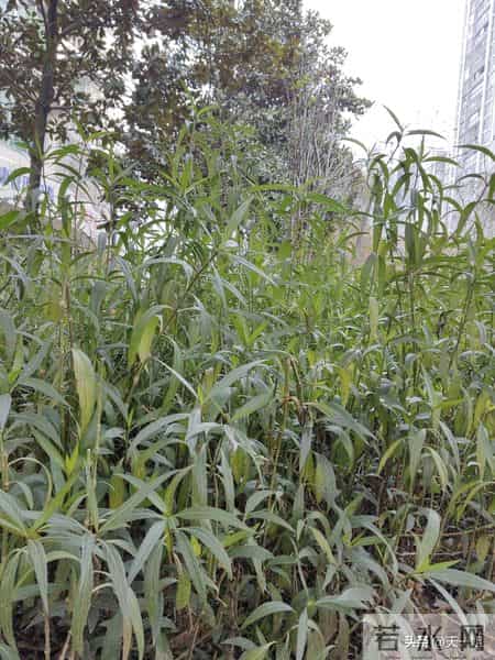 我退休5年，今年55岁，女人55岁有这6点欲望，是人生新的起点