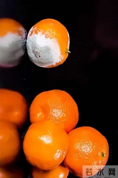 4种水果已被列入“致癌名单”，吃多了致癌，可信吗？告诉你真相