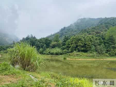 65岁以后的老年人，坚决不要干有风险的事情