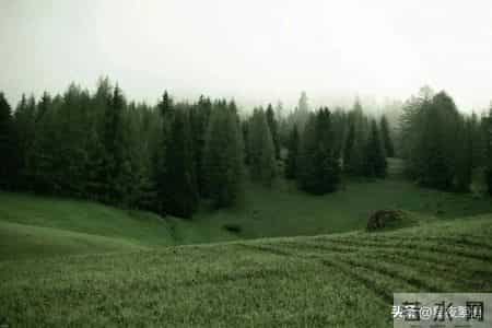 55到65岁这十年，一定要把这4件事烂在肚子里，哪怕亲兄弟也别说