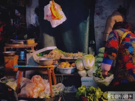 宁愿独居也不跟儿子同住，戳中老人心声：忍气吞声不如独自清净！